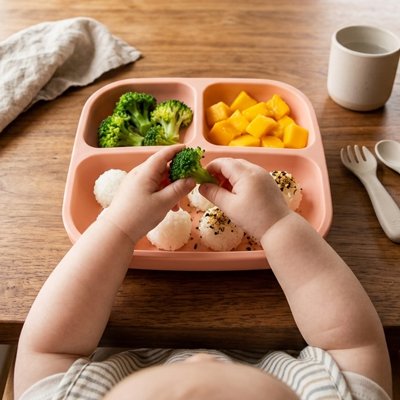 Assiette bébé ventouse