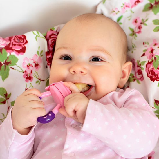 Grignoteuse bébé 
